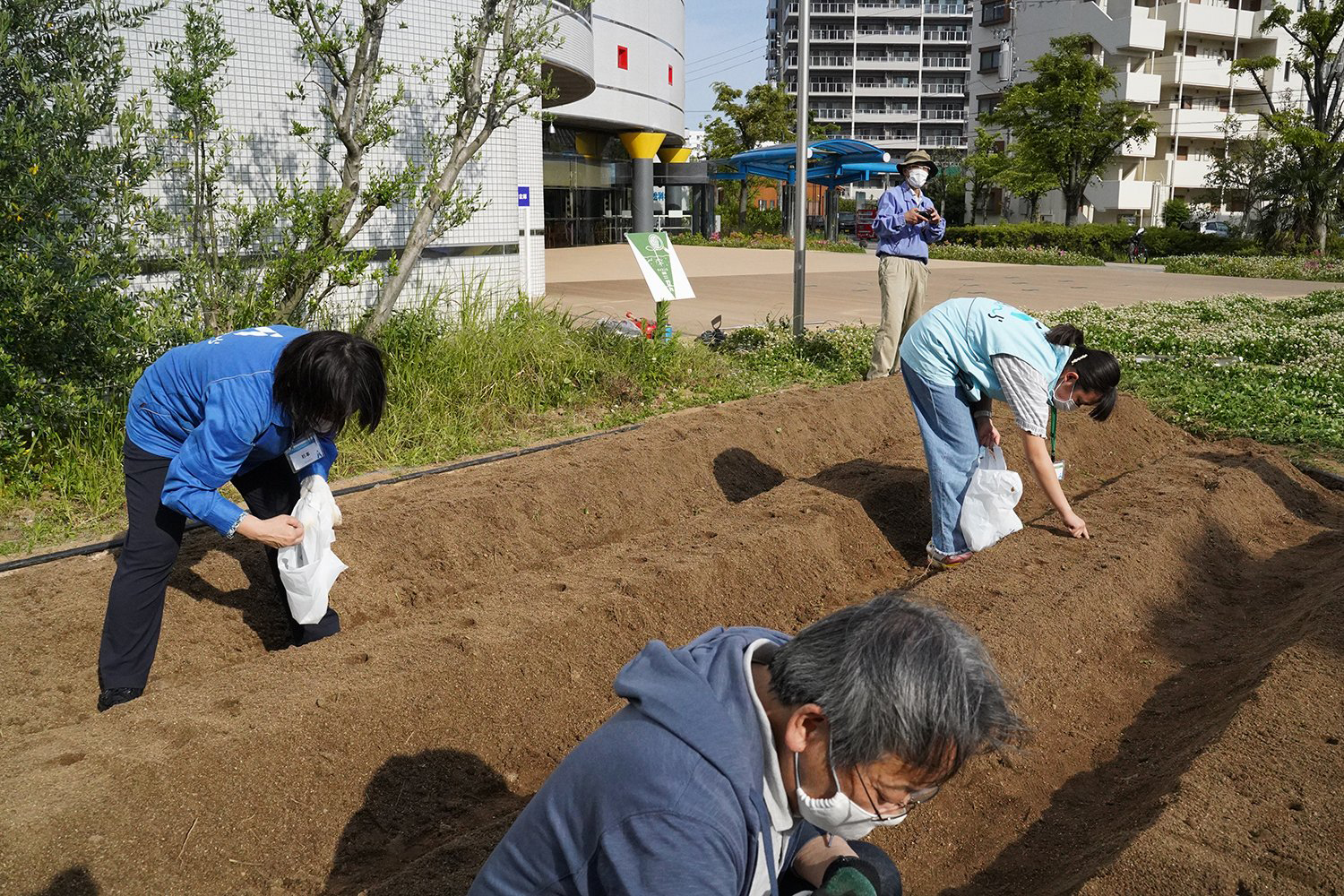 職員とボランティアが畝作りをしている写真