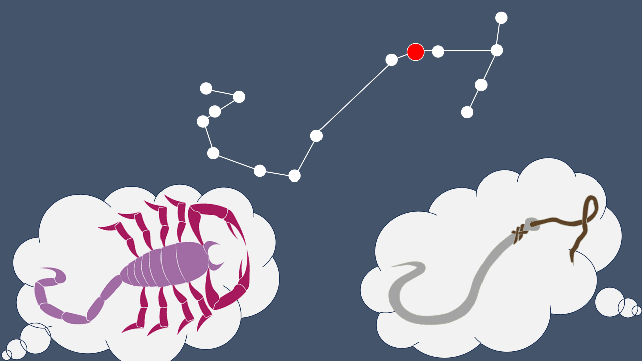 さそり座の星をつなぐとどんな形？ヨーロッパの人はさそり、ニュージーランドの人は釣り針を考えた。同じ形でも、国や地域によって伝わっていた星座は違った。